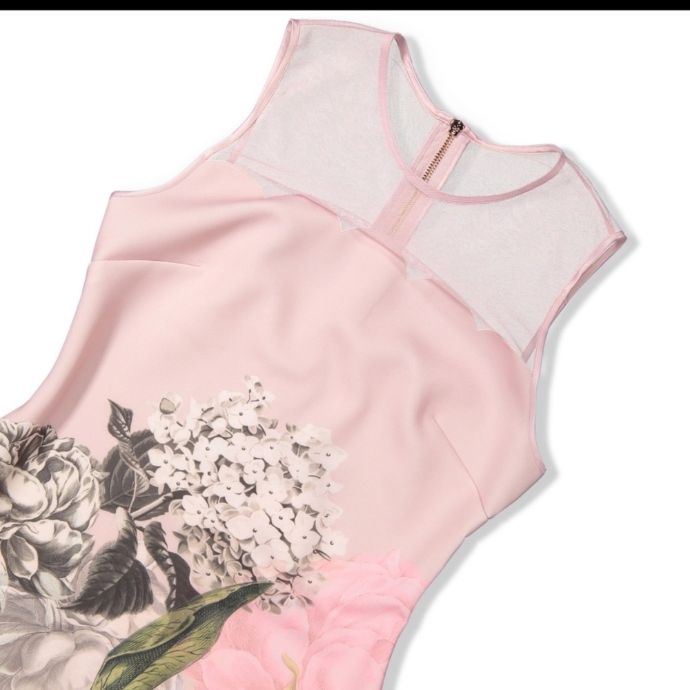 Ted Baker Palace Gardens Scalloped Sheath Dress - Picture 4 of 6